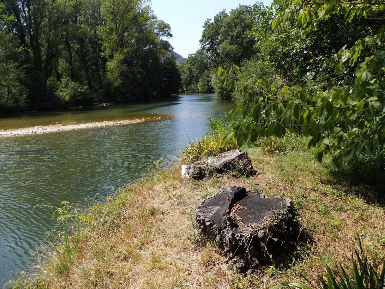 Logis Des Magnans - Le Murier - Sauve Esterno foto